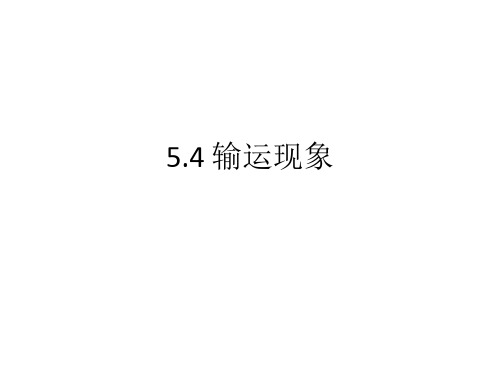 54 输运现象