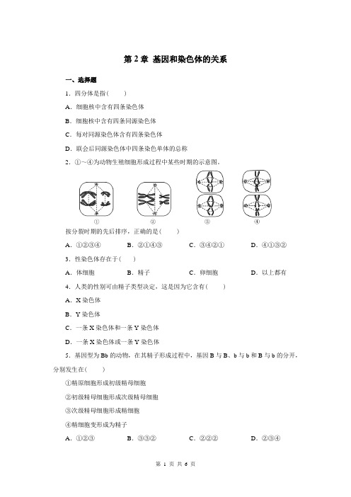 生物必修2第2章 基因和染色体的关系精练测试题及答案