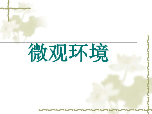 德克士市场调研报告