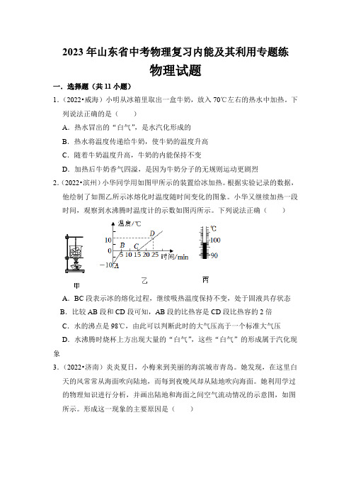 2023年山东省中考物理复习内能及其利用专题练