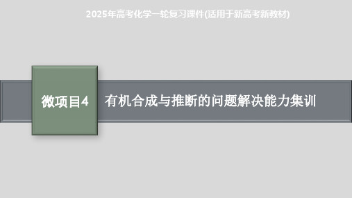 2025年高考化学一轮复习课件(适用于新高考新教材) 微项目4 有机合成与推断的问题解决能力集训