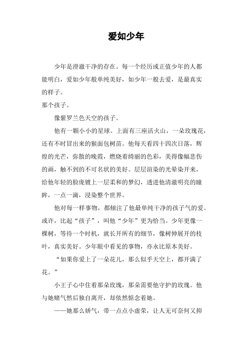 爱如少年
