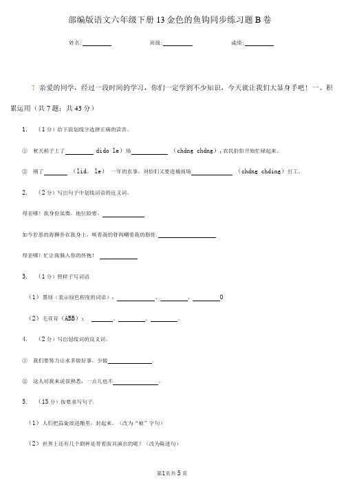 部编版语文六年级下册13金色的鱼钩同步练习题B卷