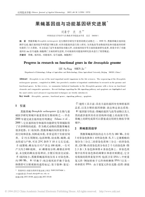 果蝇基因组与功能基因研究进展_刘素宁