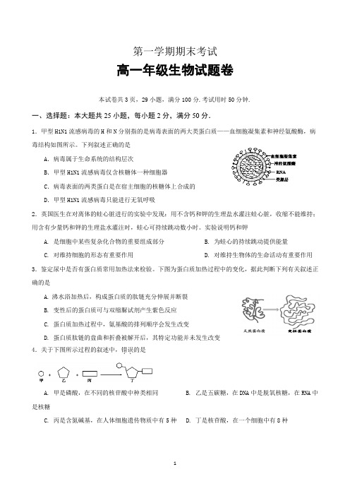 高一上学期期末考试生物试卷带答案