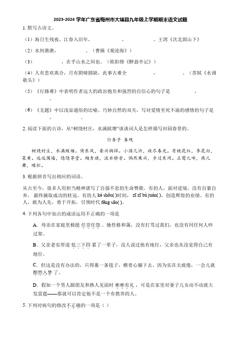 2023-2024学年广东省梅州市大埔县九年级上学期期末语文试题