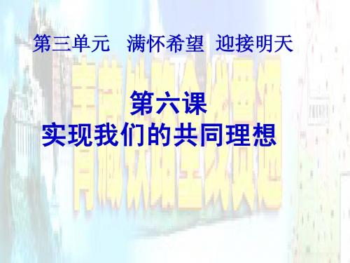 第九课《实现我们的共同理想》综合课件