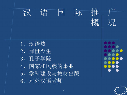 汉语国际推广概况