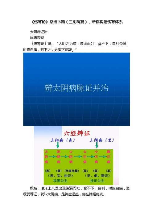 《伤寒论》总结下篇（三阴病篇），帮你构建伤寒体系