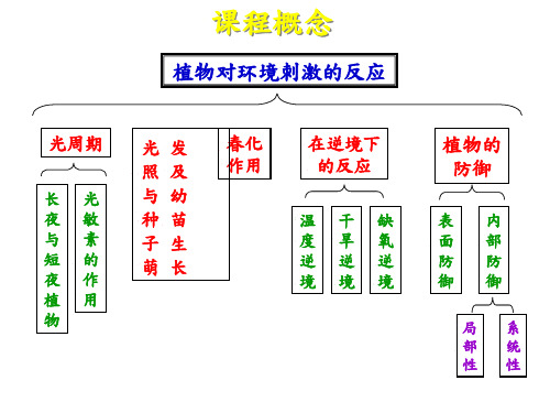 植物对环境刺激的反应 (2)