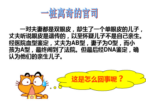 第一章 第一节分离定律 3课时