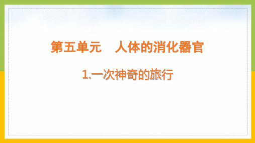 大象版四年级科学上册第五单元《人体的消化器官》全部课件(共5课时)