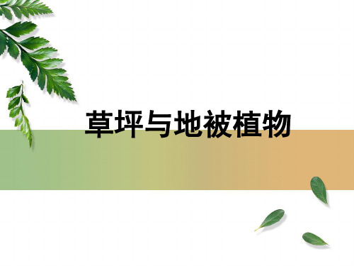 草坪与地被植物