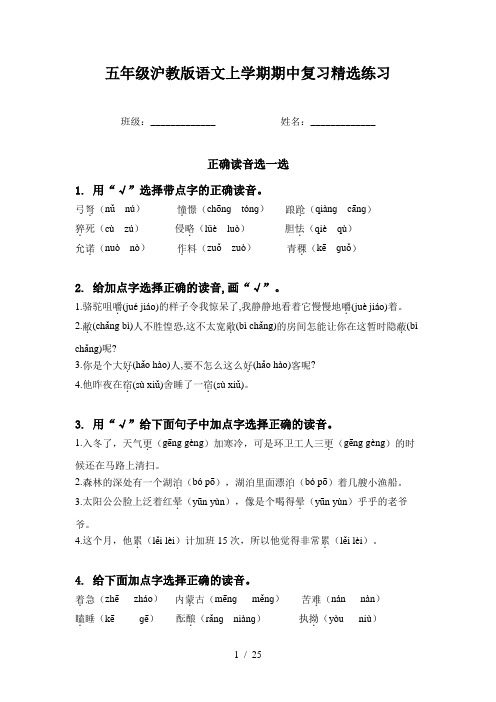 五年级沪教版语文上学期期中复习精选练习