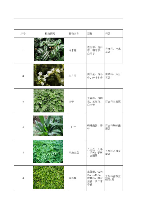 华中、华东、西南地区喜阴植物汇编