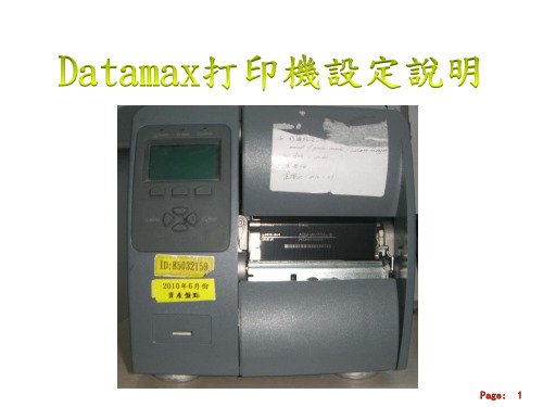 Datamax打印