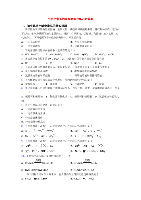 生活中常见的盐提高综合练习附答案