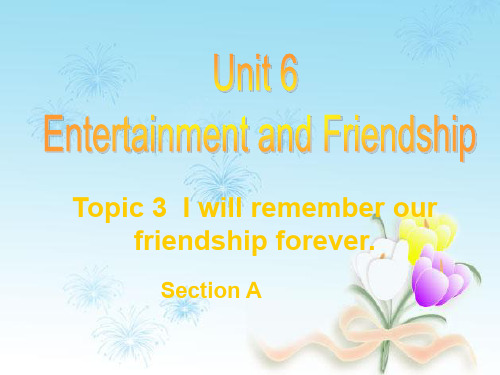 仁爱版初中英语九年级下册Unit 6Topic 3 I will remember our frever.A