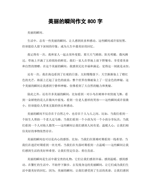 美丽的瞬间作文800字