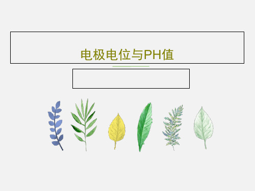 电极电位与PH值20页PPT