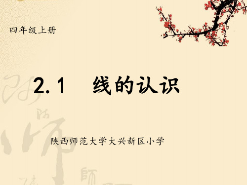 四年级上册数学课件-2.1 线的认识-北师大版 (共25页)