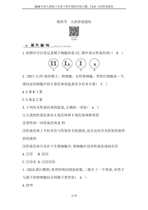 2019年春人教版八年级下册生物同步练习题:7.2.4 人的性别遗传