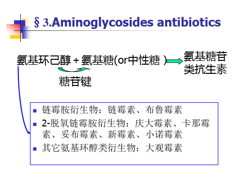 药物分析第11章 抗生素-2