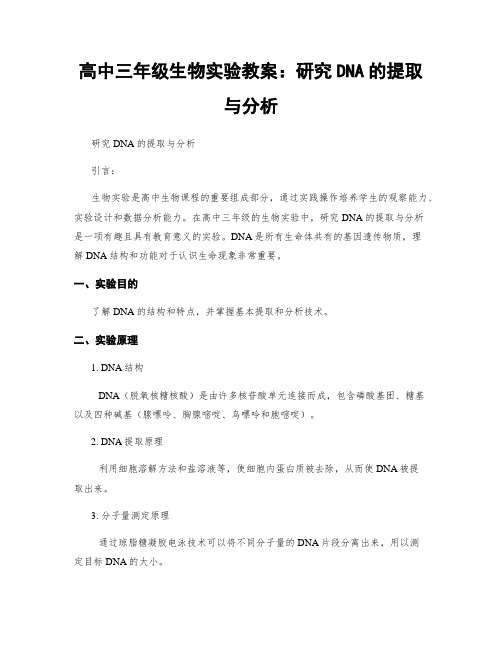 高中三年级生物实验教案：研究DNA的提取与分析 (2)