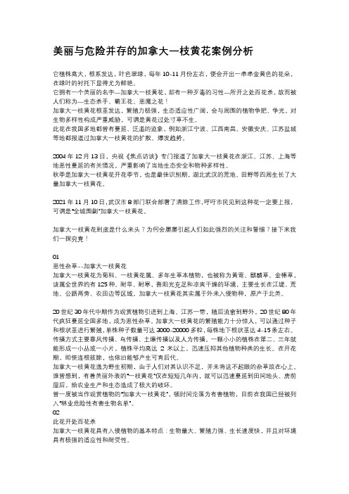 美丽与危险并存的加拿大一枝黄花案例分析