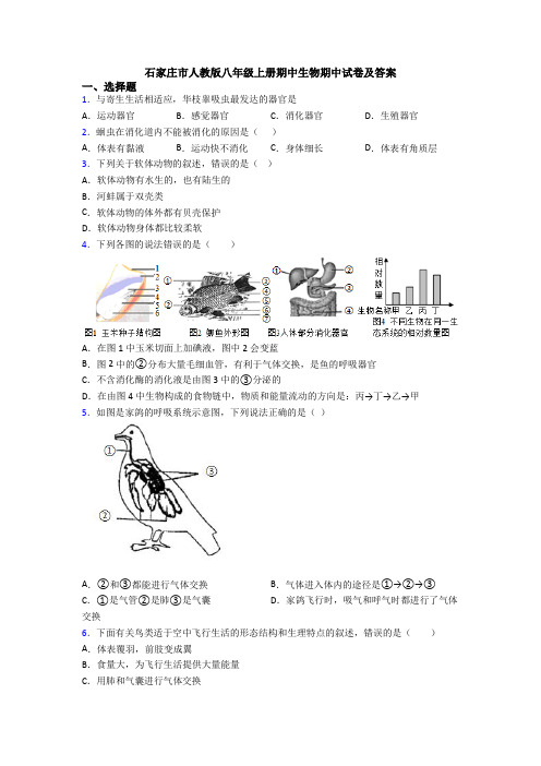 石家庄市人教版八年级上册期中生物期中试卷及答案