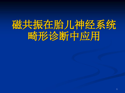 胎儿磁共振诊断ppt课件