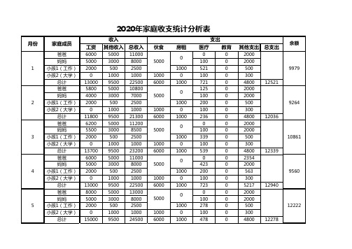 家庭收支统计分析表