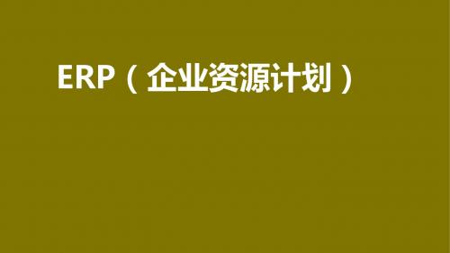 ERP(企业资源计划)第2章PPT