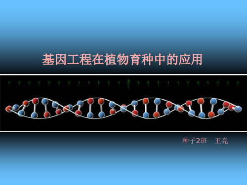 基因工程在植物育种中的应用(终稿)