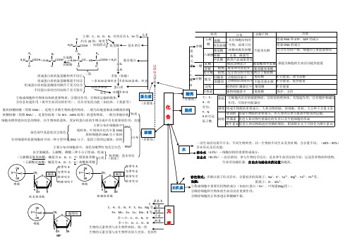 生物必修1 组成细胞的元素和化合物思维导图
