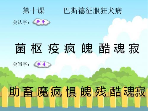 最新语文S版四年级语文下册10 巴斯德征服狂犬病_生字词学习(会认字、会写字)生字精品课件(模板)