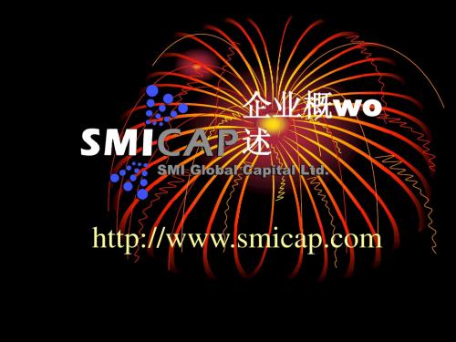 SMI企业概述