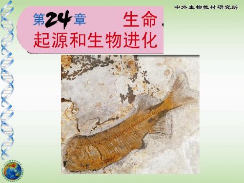 第16章生命起源和生物进化