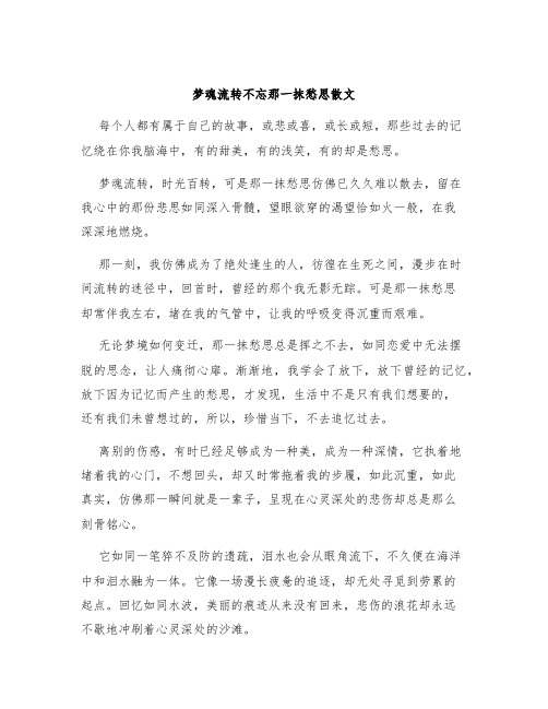 梦魂流转不忘那一抹愁思散文