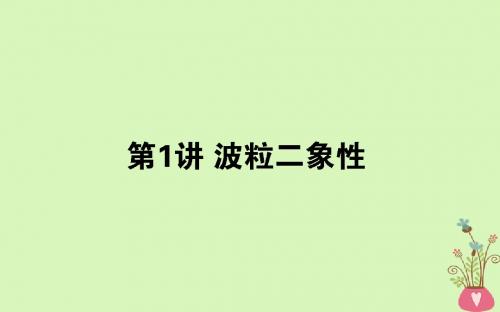 2019届高考物理第一轮复习 第十二章 波粒二象性 原子结构和原子核 12.1 波粒二象性