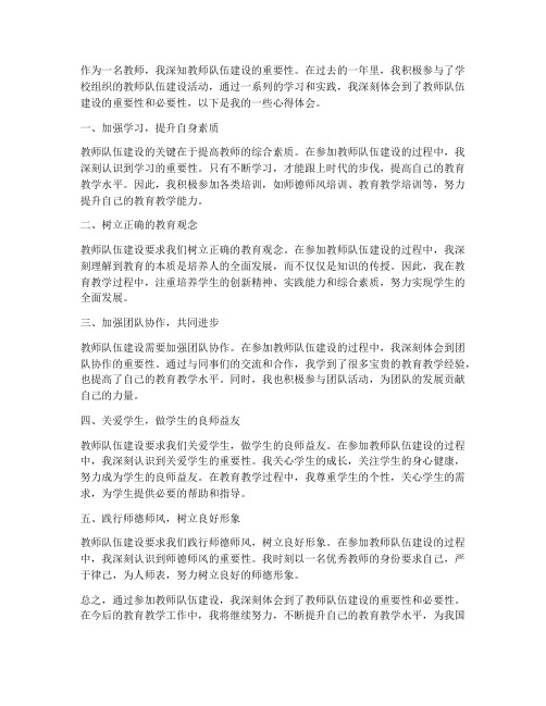 教师队建设伍的心得体会