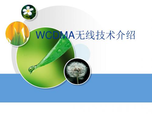 WCDMA无线技术介绍