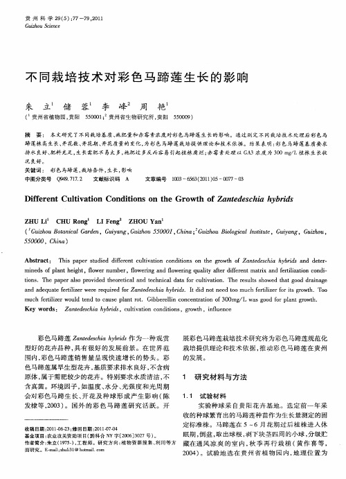 不同栽培技术对彩色马蹄莲生长的影响