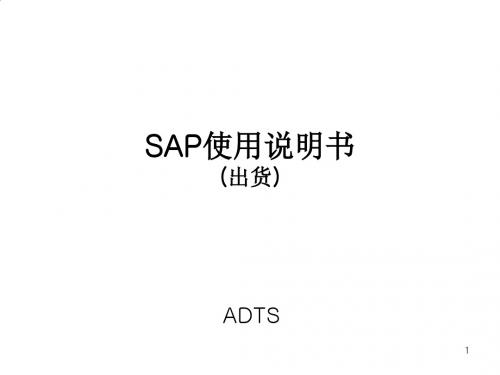 SAP使用说明书概述PPT(31张)