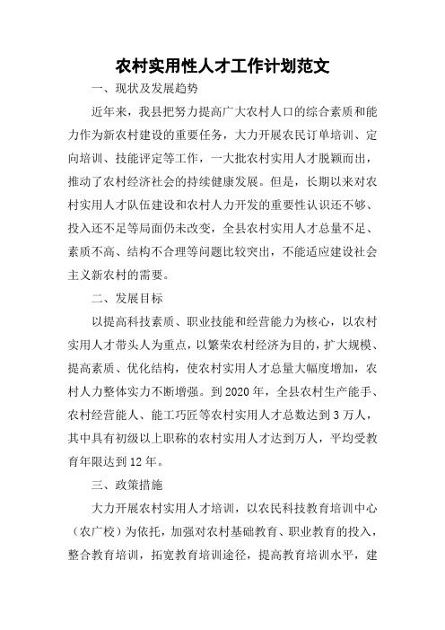 农村实用性人才工作计划范文