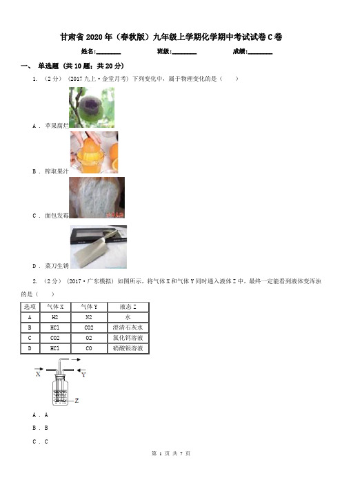 甘肃省2020年(春秋版)九年级上学期化学期中考试试卷C卷