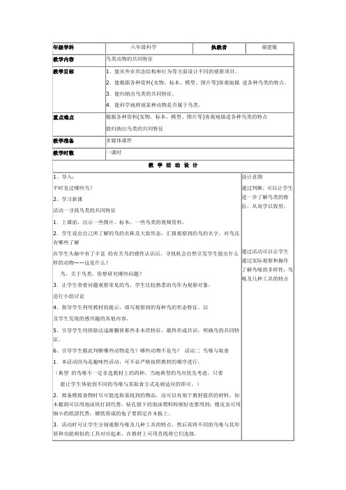 鸟类的共同特征 文档