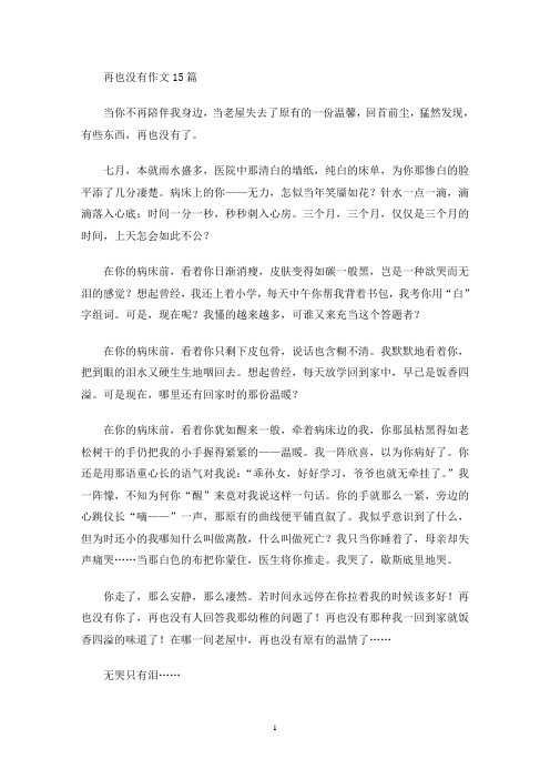 再也没有作文(最新)
