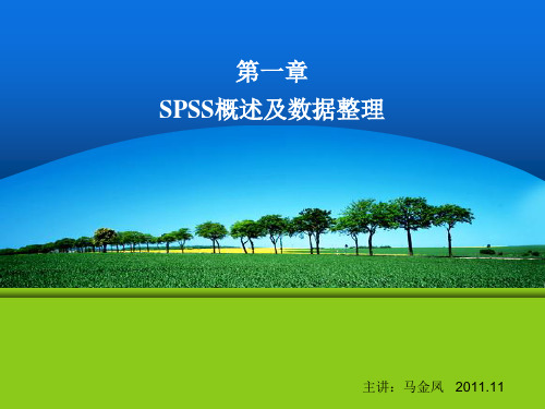 SPSS软件  概述及数据整理PPT课件