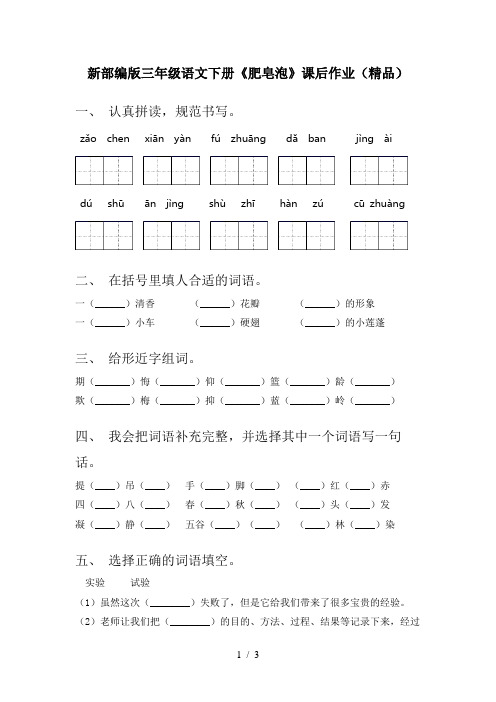 新部编版三年级语文下册《肥皂泡》课后作业(精品)